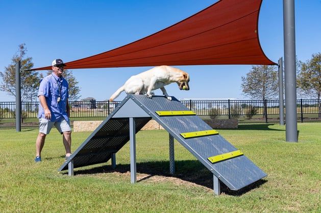 Fabric shaded areas in dog parks provide cool rest spots for pets and owners, preventing overheating during playtime.